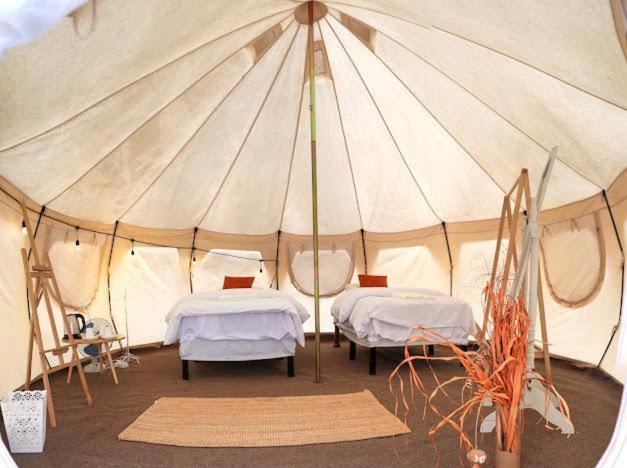 Safari Desert Camp Shahiq Bagian luar foto
