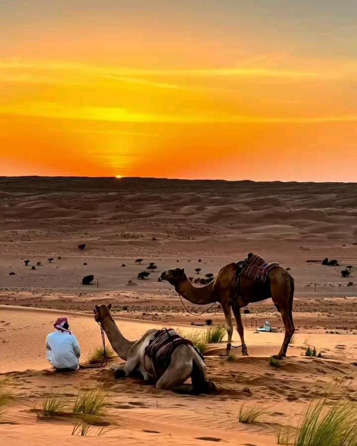 Safari Desert Camp Shahiq Bagian luar foto